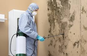 Mold Remediation for Rental Properties in Swisher, IA